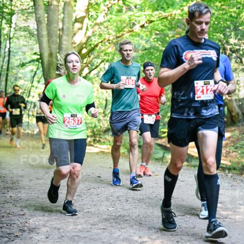 28.09.2025 - 33. Volkslauf durch das schöne Alstertal Dr. Thomas Lammeyer http://msf.ph/oto/8955328 28.09.2025 10:41:20 Laufen 2537, 00, 2194, 2122 meine-sportfotos.de