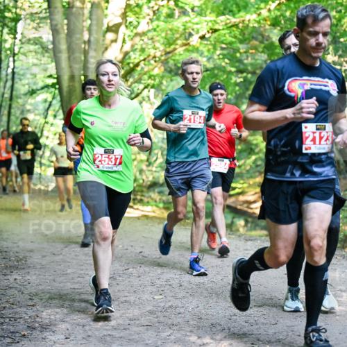 28.09.2025 - 33. Volkslauf durch das schöne Alstertal Dr. Thomas Lammeyer http://msf.ph/oto/8955329 28.09.2025 10:41:20 Laufen 2194, 2123, 2537 meine-sportfotos.de