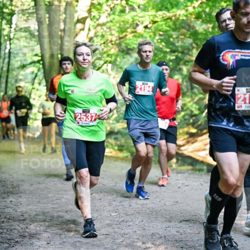 28.09.2025 - 33. Volkslauf durch das schöne Alstertal Dr. Thomas Lammeyer http://msf.ph/oto/8955330 28.09.2025 10:41:20 Laufen 00, 2194, 2537, 2123 meine-sportfotos.de