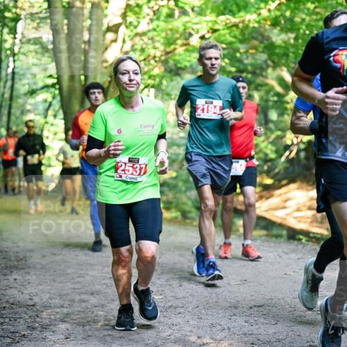 28.09.2025 - 33. Volkslauf durch das schöne Alstertal Dr. Thomas Lammeyer http://msf.ph/oto/8955331 28.09.2025 10:41:20 Laufen 2194, 2123, 2537 meine-sportfotos.de
