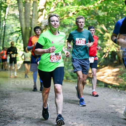 28.09.2025 - 33. Volkslauf durch das schöne Alstertal Dr. Thomas Lammeyer http://msf.ph/oto/8955332 28.09.2025 10:41:20 Laufen 253, 00, 2194, 2123 meine-sportfotos.de