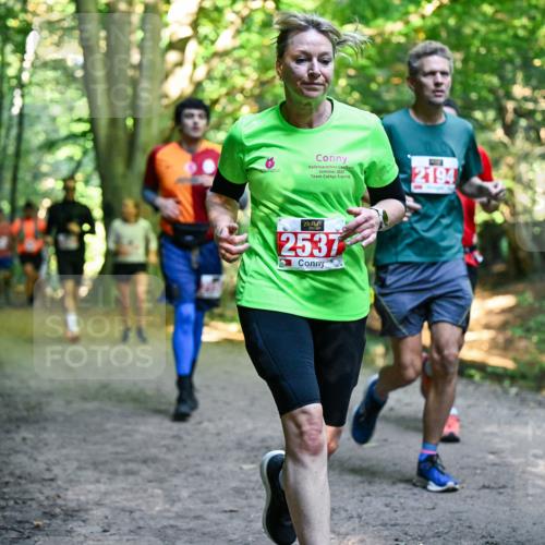 28.09.2025 - 33. Volkslauf durch das schöne Alstertal Dr. Thomas Lammeyer http://msf.ph/oto/8955336 28.09.2025 10:41:20 Laufen 2025, 2537, 2194 meine-sportfotos.de