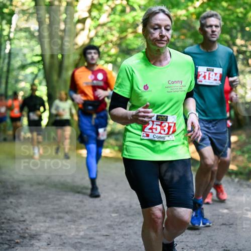 28.09.2025 - 33. Volkslauf durch das schöne Alstertal Dr. Thomas Lammeyer http://msf.ph/oto/8955337 28.09.2025 10:41:21 Laufen 2025, 2194, 2537 meine-sportfotos.de