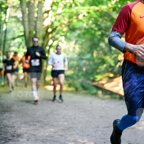 28.09.2025 - 33. Volkslauf durch das schöne Alstertal Dr. Thomas Lammeyer http://msf.ph/oto/8955346 28.09.2025 10:41:23 Laufen 6, 44, 74550, 2158 meine-sportfotos.de
