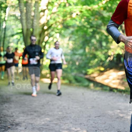 28.09.2025 - 33. Volkslauf durch das schöne Alstertal Dr. Thomas Lammeyer http://msf.ph/oto/8955347 28.09.2025 10:41:23 Laufen 4, 215 meine-sportfotos.de