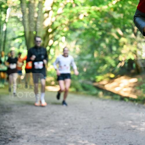 28.09.2025 - 33. Volkslauf durch das schöne Alstertal Dr. Thomas Lammeyer http://msf.ph/oto/8955348 28.09.2025 10:41:23 Laufen  meine-sportfotos.de
