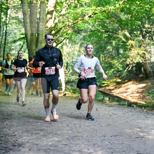28.09.2025 - 33. Volkslauf durch das schöne Alstertal Dr. Thomas Lammeyer http://msf.ph/oto/8955351 28.09.2025 10:41:24 Laufen 2523, 2601 meine-sportfotos.de