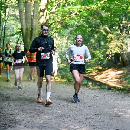 28.09.2025 - 33. Volkslauf durch das schöne Alstertal Dr. Thomas Lammeyer http://msf.ph/oto/8955352 28.09.2025 10:41:24 Laufen 2564, 2523, 2601 meine-sportfotos.de