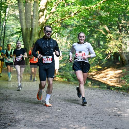 28.09.2025 - 33. Volkslauf durch das schöne Alstertal Dr. Thomas Lammeyer http://msf.ph/oto/8955353 28.09.2025 10:41:24 Laufen 2523, 2601 meine-sportfotos.de