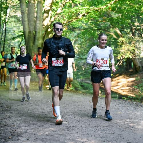 28.09.2025 - 33. Volkslauf durch das schöne Alstertal Dr. Thomas Lammeyer http://msf.ph/oto/8955355 28.09.2025 10:41:24 Laufen 2564, 2523, 2601 meine-sportfotos.de