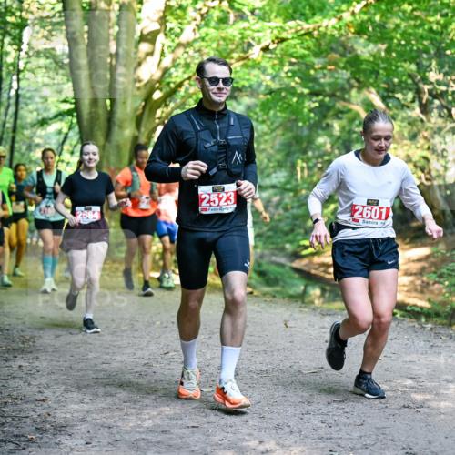 28.09.2025 - 33. Volkslauf durch das schöne Alstertal Dr. Thomas Lammeyer http://msf.ph/oto/8955358 28.09.2025 10:41:24 Laufen 2523, 2601 meine-sportfotos.de