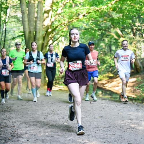 28.09.2025 - 33. Volkslauf durch das schöne Alstertal Dr. Thomas Lammeyer http://msf.ph/oto/8955369 28.09.2025 10:41:26 Laufen 2564, 1837 meine-sportfotos.de