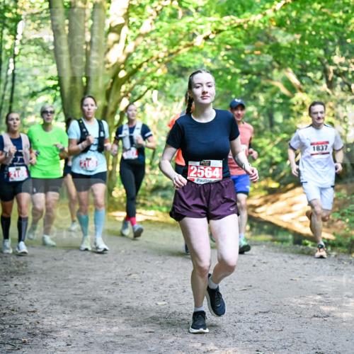 28.09.2025 - 33. Volkslauf durch das schöne Alstertal Dr. Thomas Lammeyer http://msf.ph/oto/8955371 28.09.2025 10:41:26 Laufen 2564, 1837 meine-sportfotos.de