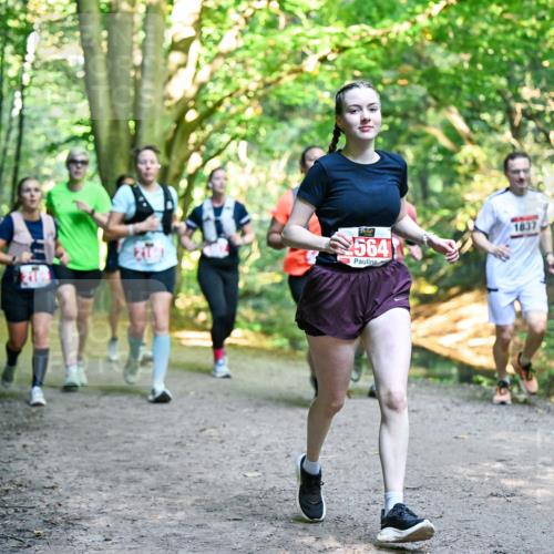 28.09.2025 - 33. Volkslauf durch das schöne Alstertal Dr. Thomas Lammeyer http://msf.ph/oto/8955372 28.09.2025 10:41:26 Laufen 564, 1837 meine-sportfotos.de