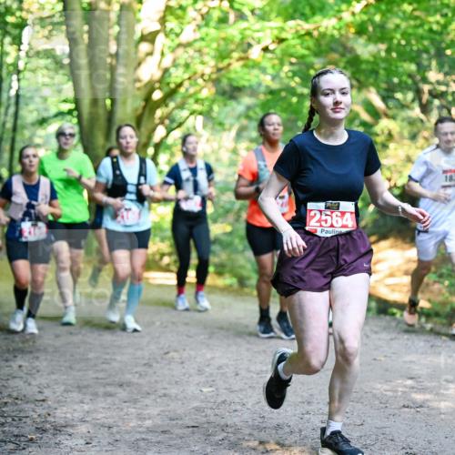 28.09.2025 - 33. Volkslauf durch das schöne Alstertal Dr. Thomas Lammeyer http://msf.ph/oto/8955373 28.09.2025 10:41:26 Laufen 2564, 1837 meine-sportfotos.de