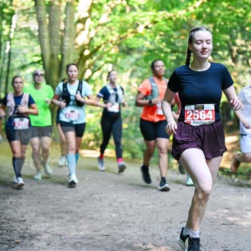 28.09.2025 - 33. Volkslauf durch das schöne Alstertal Dr. Thomas Lammeyer http://msf.ph/oto/8955374 28.09.2025 10:41:27 Laufen 2564, 1837 meine-sportfotos.de