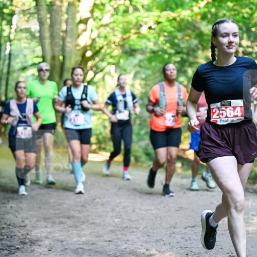 28.09.2025 - 33. Volkslauf durch das schöne Alstertal Dr. Thomas Lammeyer http://msf.ph/oto/8955375 28.09.2025 10:41:27 Laufen 2564, 37 meine-sportfotos.de