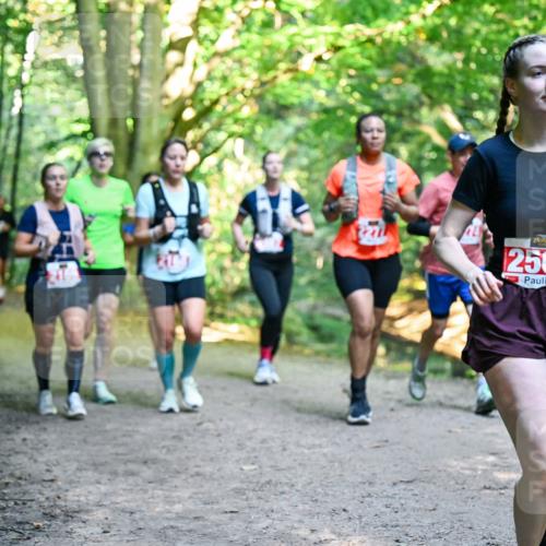 28.09.2025 - 33. Volkslauf durch das schöne Alstertal Dr. Thomas Lammeyer http://msf.ph/oto/8955376 28.09.2025 10:41:27 Laufen 2564 meine-sportfotos.de