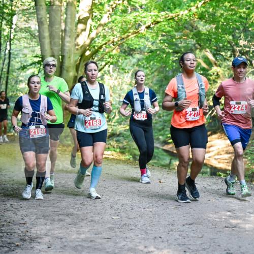 28.09.2025 - 33. Volkslauf durch das schöne Alstertal Dr. Thomas Lammeyer http://msf.ph/oto/8955377 28.09.2025 10:41:27 Laufen 2168, 2169, 2274, 2487, 227 meine-sportfotos.de