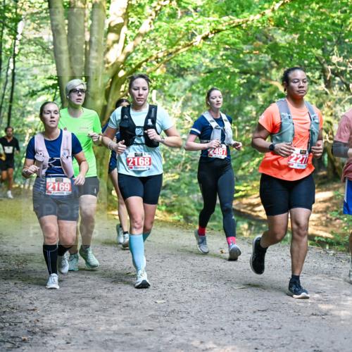 28.09.2025 - 33. Volkslauf durch das schöne Alstertal Dr. Thomas Lammeyer http://msf.ph/oto/8955379 28.09.2025 10:41:27 Laufen 2169, 2168, 2487, 74 meine-sportfotos.de