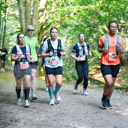 28.09.2025 - 33. Volkslauf durch das schöne Alstertal Dr. Thomas Lammeyer http://msf.ph/oto/8955381 28.09.2025 10:41:28 Laufen 74, 2169, 2168, 2277 meine-sportfotos.de