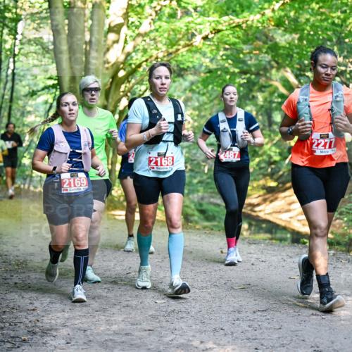 28.09.2025 - 33. Volkslauf durch das schöne Alstertal Dr. Thomas Lammeyer http://msf.ph/oto/8955382 28.09.2025 10:41:28 Laufen 2169, 2168, 2487, 2277, 2274 meine-sportfotos.de