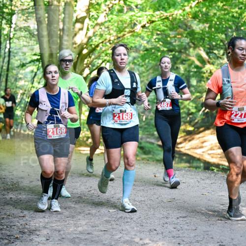 28.09.2025 - 33. Volkslauf durch das schöne Alstertal Dr. Thomas Lammeyer http://msf.ph/oto/8955383 28.09.2025 10:41:28 Laufen 2169, 21687, 2487, 2277, 22 meine-sportfotos.de