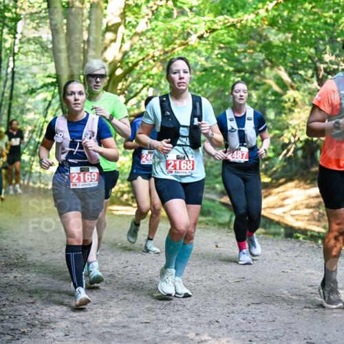 28.09.2025 - 33. Volkslauf durch das schöne Alstertal Dr. Thomas Lammeyer http://msf.ph/oto/8955384 28.09.2025 10:41:28 Laufen 2169, 240, 2168, 487, 221 meine-sportfotos.de