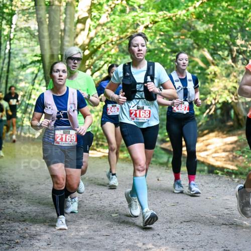 28.09.2025 - 33. Volkslauf durch das schöne Alstertal Dr. Thomas Lammeyer http://msf.ph/oto/8955385 28.09.2025 10:41:28 Laufen 2169, 2467, 2168, 2487, 221 meine-sportfotos.de