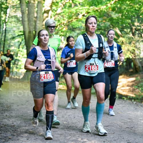 28.09.2025 - 33. Volkslauf durch das schöne Alstertal Dr. Thomas Lammeyer http://msf.ph/oto/8955388 28.09.2025 10:41:28 Laufen 2169, 2467, 2168, 2487, 22 meine-sportfotos.de