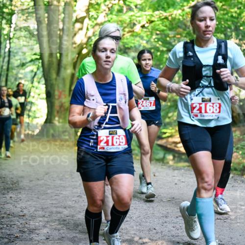 28.09.2025 - 33. Volkslauf durch das schöne Alstertal Dr. Thomas Lammeyer http://msf.ph/oto/8955391 28.09.2025 10:41:29 Laufen 2169, 2467, 2168 meine-sportfotos.de