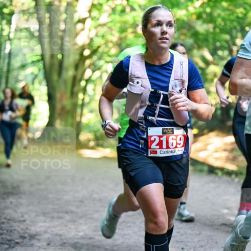 28.09.2025 - 33. Volkslauf durch das schöne Alstertal Dr. Thomas Lammeyer http://msf.ph/oto/8955394 28.09.2025 10:41:29 Laufen 2169, 2168 meine-sportfotos.de