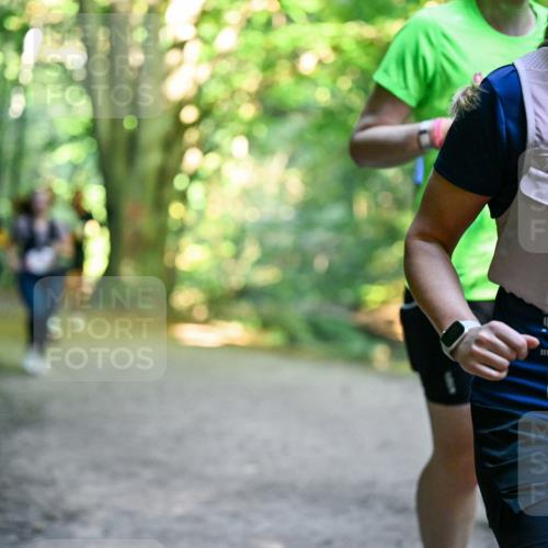 28.09.2025 - 33. Volkslauf durch das schöne Alstertal Dr. Thomas Lammeyer http://msf.ph/oto/8955399 28.09.2025 10:41:30 Laufen 2169 meine-sportfotos.de