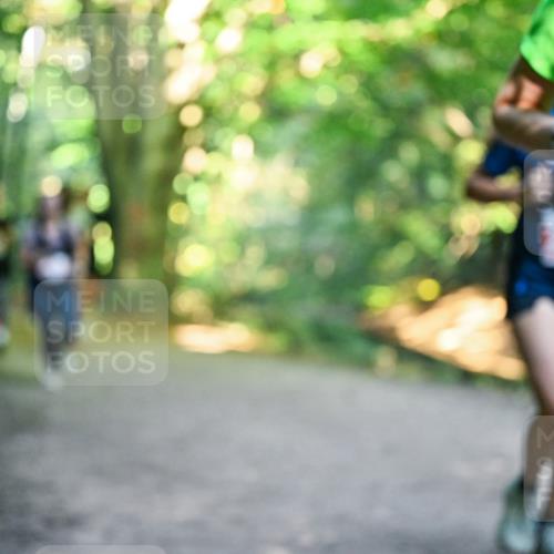 28.09.2025 - 33. Volkslauf durch das schöne Alstertal Dr. Thomas Lammeyer http://msf.ph/oto/8955401 28.09.2025 10:41:30 Laufen  meine-sportfotos.de