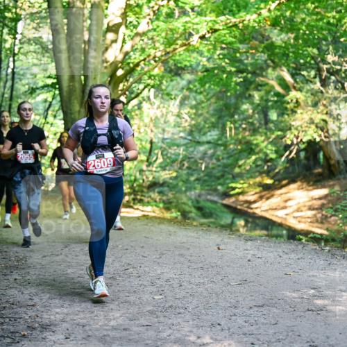 28.09.2025 - 33. Volkslauf durch das schöne Alstertal Dr. Thomas Lammeyer http://msf.ph/oto/8955412 28.09.2025 10:41:32 Laufen 2055, 2609 meine-sportfotos.de