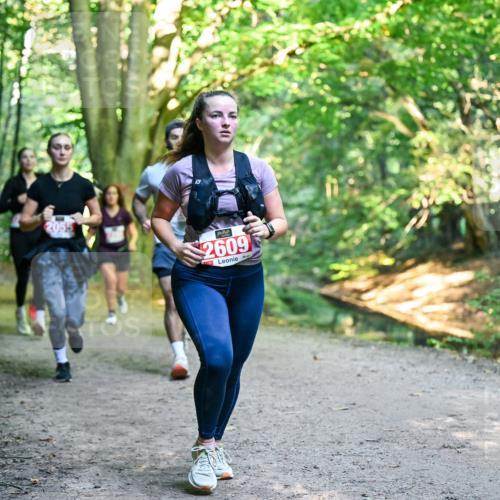 28.09.2025 - 33. Volkslauf durch das schöne Alstertal Dr. Thomas Lammeyer http://msf.ph/oto/8955417 28.09.2025 10:41:33 Laufen 2609 meine-sportfotos.de