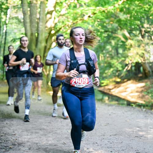 28.09.2025 - 33. Volkslauf durch das schöne Alstertal Dr. Thomas Lammeyer http://msf.ph/oto/8955419 28.09.2025 10:41:33 Laufen 2609 meine-sportfotos.de