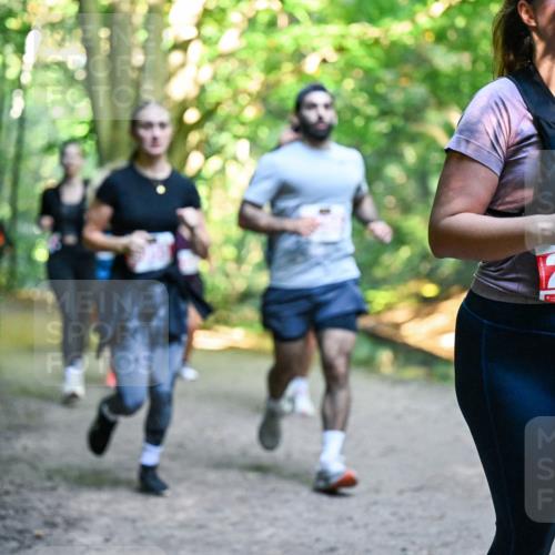 28.09.2025 - 33. Volkslauf durch das schöne Alstertal Dr. Thomas Lammeyer http://msf.ph/oto/8955424 28.09.2025 10:41:34 Laufen 2609 meine-sportfotos.de