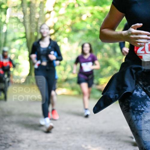28.09.2025 - 33. Volkslauf durch das schöne Alstertal Dr. Thomas Lammeyer http://msf.ph/oto/8955430 28.09.2025 10:41:35 Laufen 2055 meine-sportfotos.de