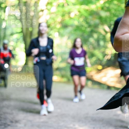 28.09.2025 - 33. Volkslauf durch das schöne Alstertal Dr. Thomas Lammeyer http://msf.ph/oto/8955431 28.09.2025 10:41:36 Laufen  meine-sportfotos.de
