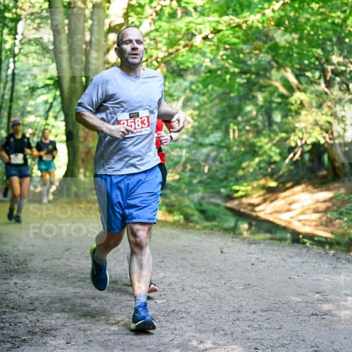 28.09.2025 - 33. Volkslauf durch das schöne Alstertal Dr. Thomas Lammeyer http://msf.ph/oto/8955457 28.09.2025 10:41:42 Laufen 583 meine-sportfotos.de