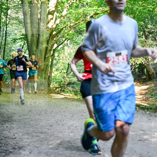 28.09.2025 - 33. Volkslauf durch das schöne Alstertal Dr. Thomas Lammeyer http://msf.ph/oto/8955463 28.09.2025 10:41:43 Laufen 2042, 04, 2436, 1068 meine-sportfotos.de