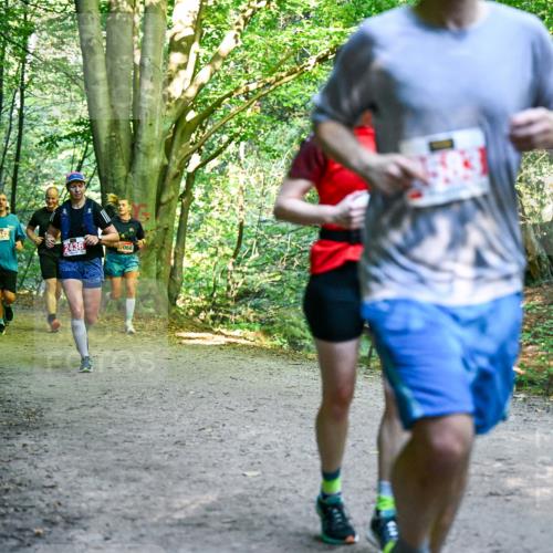28.09.2025 - 33. Volkslauf durch das schöne Alstertal Dr. Thomas Lammeyer http://msf.ph/oto/8955464 28.09.2025 10:41:43 Laufen 2096, 2042, 2436, 068 meine-sportfotos.de