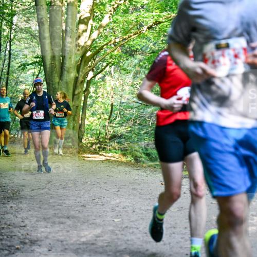 28.09.2025 - 33. Volkslauf durch das schöne Alstertal Dr. Thomas Lammeyer http://msf.ph/oto/8955466 28.09.2025 10:41:43 Laufen  meine-sportfotos.de