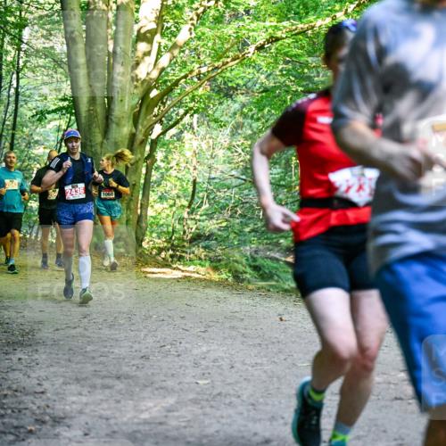 28.09.2025 - 33. Volkslauf durch das schöne Alstertal Dr. Thomas Lammeyer http://msf.ph/oto/8955467 28.09.2025 10:41:43 Laufen 2042, 204, 2436, 1068 meine-sportfotos.de
