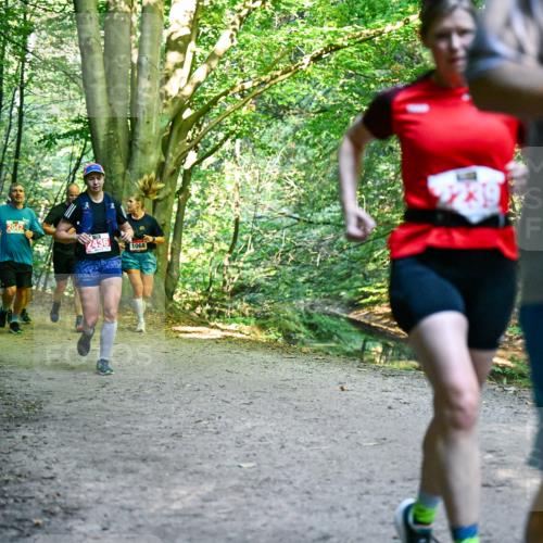 28.09.2025 - 33. Volkslauf durch das schöne Alstertal Dr. Thomas Lammeyer http://msf.ph/oto/8955468 28.09.2025 10:41:44 Laufen 2042, 2436, 1068 meine-sportfotos.de