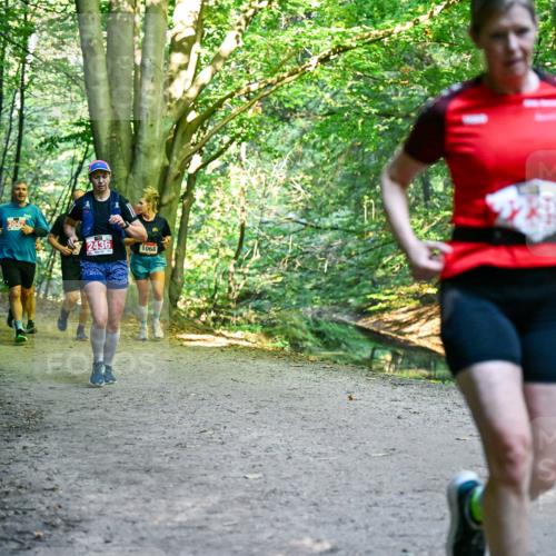 28.09.2025 - 33. Volkslauf durch das schöne Alstertal Dr. Thomas Lammeyer http://msf.ph/oto/8955469 28.09.2025 10:41:44 Laufen 2436, 1068 meine-sportfotos.de