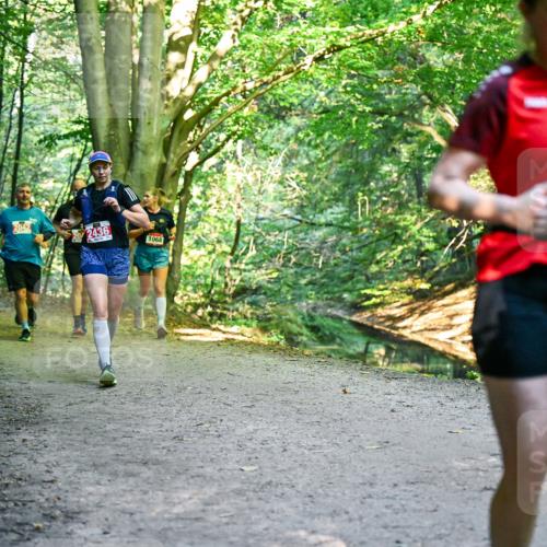 28.09.2025 - 33. Volkslauf durch das schöne Alstertal Dr. Thomas Lammeyer http://msf.ph/oto/8955470 28.09.2025 10:41:44 Laufen 2042, 2436, 1068 meine-sportfotos.de
