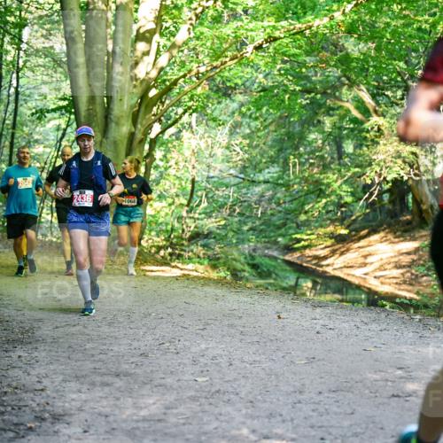 28.09.2025 - 33. Volkslauf durch das schöne Alstertal Dr. Thomas Lammeyer http://msf.ph/oto/8955471 28.09.2025 10:41:44 Laufen 2042, 2436, 1068 meine-sportfotos.de