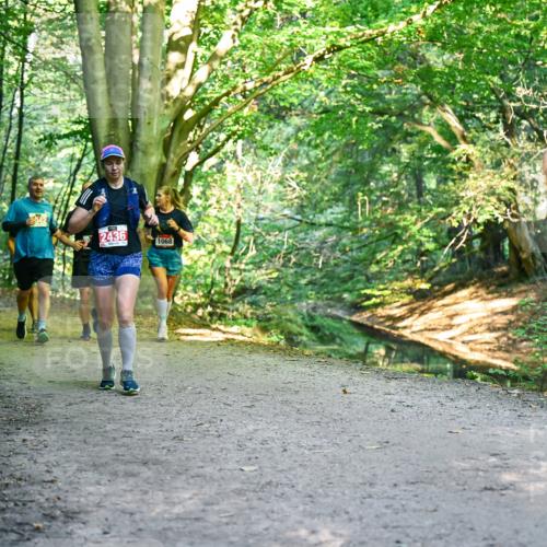 28.09.2025 - 33. Volkslauf durch das schöne Alstertal Dr. Thomas Lammeyer http://msf.ph/oto/8955472 28.09.2025 10:41:44 Laufen 2436, 1068 meine-sportfotos.de